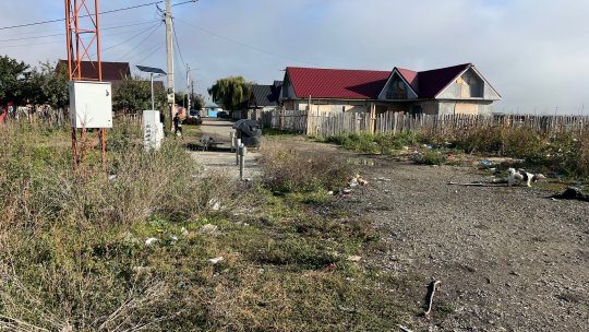 Copil de 3 ani, ucis de câini