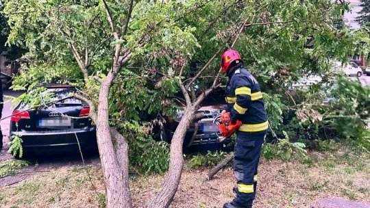În Capitală pompierii au îndepărtat peste 40 de copaci căzuţi de străzi