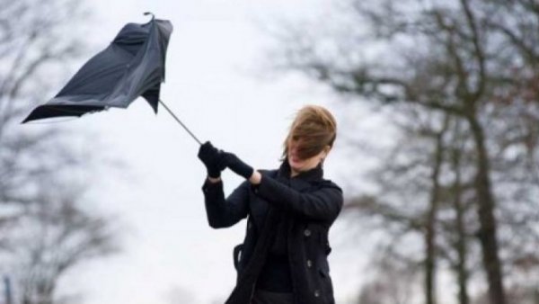 Cod galben de vânt, în 16 judeţe din Banat, sudul Crişanei, Carpaţii Meridionali şi Carpaţii Occidentali şi pe litoral