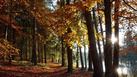 „Clauza de frânare”, analizată de Uniunea Europeană