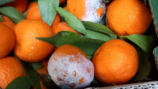 Autoritatea Națională pentru Protecția Consumatorilor a aplicat peste 2.000 de amenzi