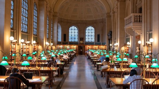 Eventualul declin al cifrei de şcolarizare va avea „efecte grave” asupra mediului universitar