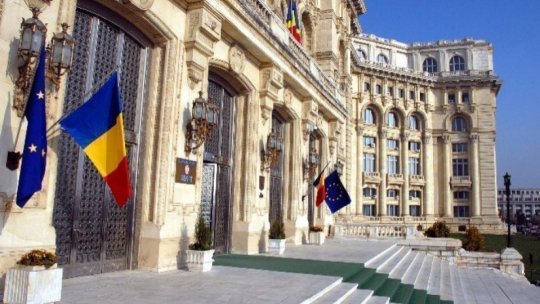 Comisia economică din Senat: Aviz favorabil propunerii de reducere a TVA pentru hrana albinelor