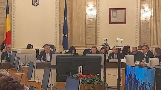Buget 2025: Dezbateri în comisiile reunite de buget-finanţe