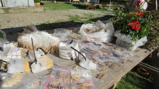 Ce facem în weekend?