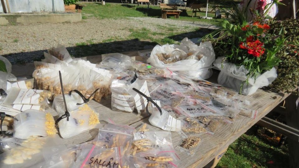 Ce facem în weekend?