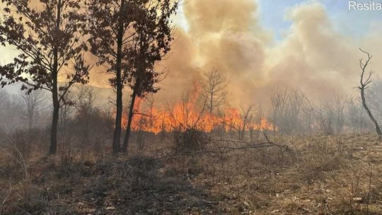 Situaţia incendiilor de vegetaţie la nivelul județului Hunedoara rămâne în continuare alarmantă