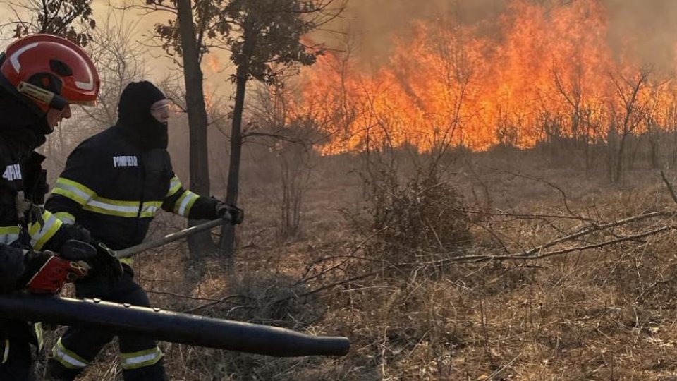 Bistrița-Năsăud: Peste 100 de hectare de pajiști și păduri au fost cuprinse de flăcări