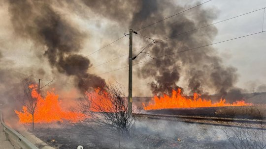 Bistrița-Năsăud: Tren oprit din circulație din cauza unui incendiu de vegetație uscată