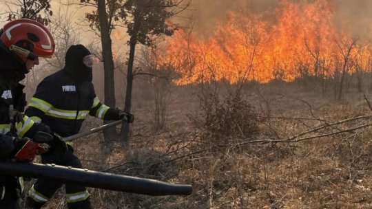 Incendiile de vegetație uscată continuă să afecteze hectare întregi la nivel național