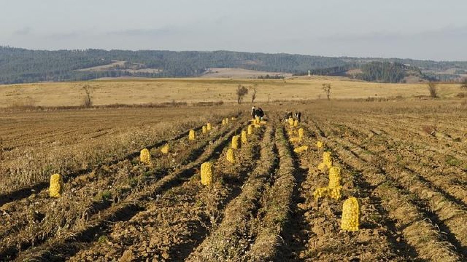 Depunerea solicitărilor fermierilor pentru cererile de plată pentru anul în curs