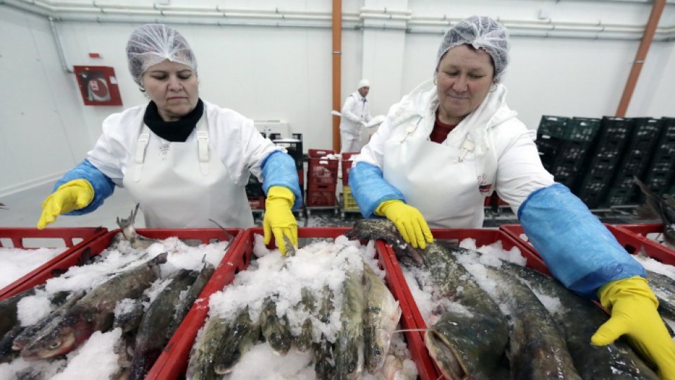 Subvenţia pentru fermele piscole şi de acvacultură din ariile naturale protejate
