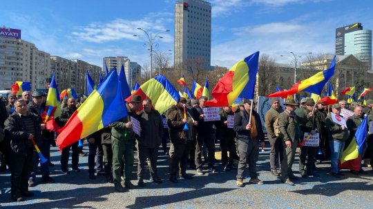 Sindicatele din silvicultură protestează în Piaţa Victoriei
