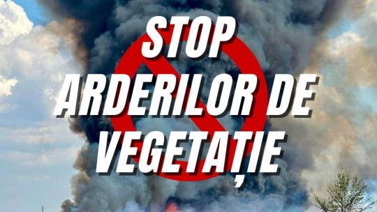 Cei care aprind vegetația uscată riscă chiar pedeapsa cu închisoarea