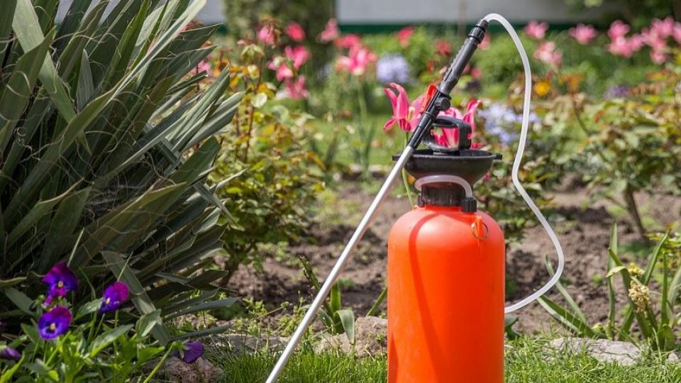 Autoritățile fac verificări la comercianții de îngrășăminte chimice