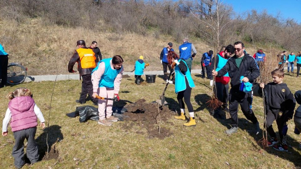 Năvodari: Campanie de plantare de arbori și arbuști