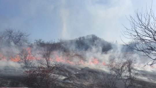 Vâlcea: Un bărbat de 78 de ani a murit în urma unui incendiu de vegetație
