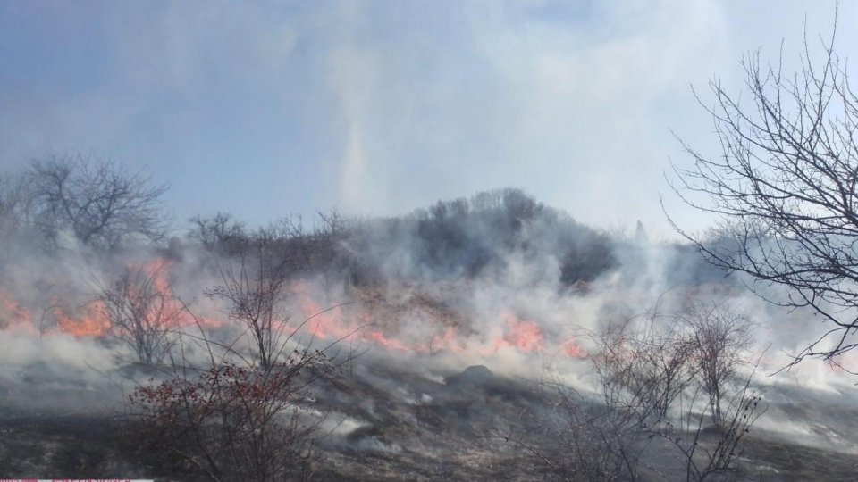 Vâlcea: Un bărbat de 78 de ani a murit în urma unui incendiu de vegetație