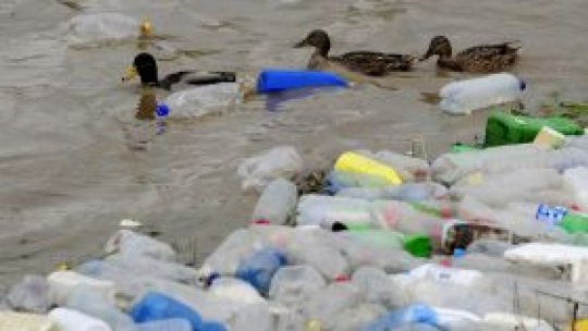 Ridicarea gunoaielor aduse de ape în apropierea orașului Orșova, din Mehedinți