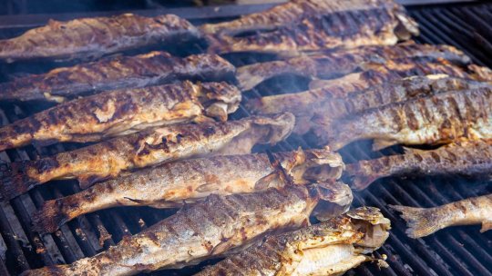 Festivalul scrumbiei la Galați