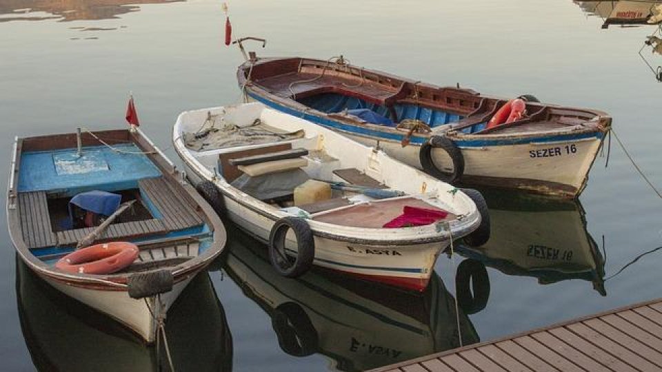 Somn de 40 de kilograme în plină prohibiţie