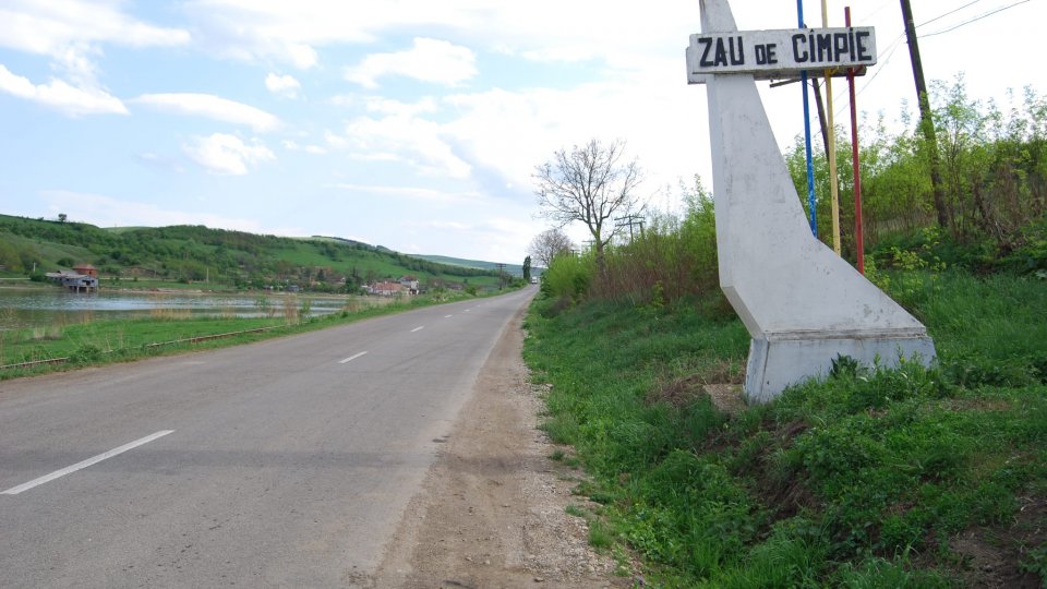 O imensă pictură murală dedicată bujorului de stepă va fi inaugurată la Festivalul de la Zau de Câmpie, județul Mureș