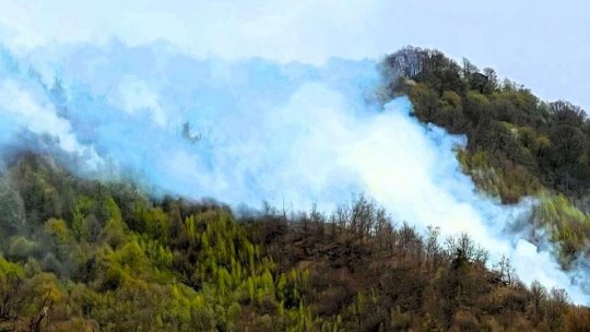 Argeș: Incendiul de lângă Cetățeni, provocat cel mai probabil de o neglijență umană