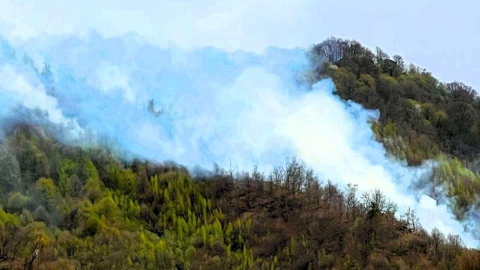 Argeș: Incendiul de lângă Cetățeni, provocat cel mai probabil de o neglijență umană