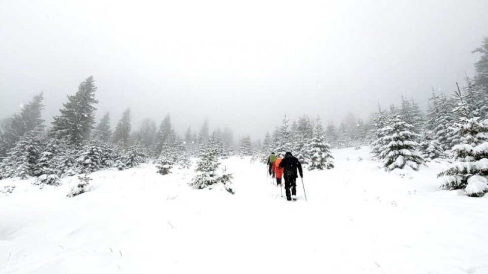 Salvatorii au suspendat pe timpul nopţii căutarea cetăţeanului ucrainean rătăcit în Munţii Maramureşului