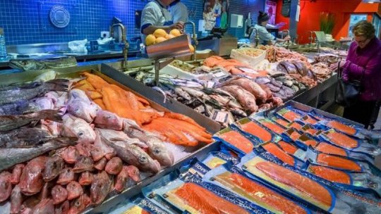 ANSVSA, amenzi de peste 4,4 milioane de lei