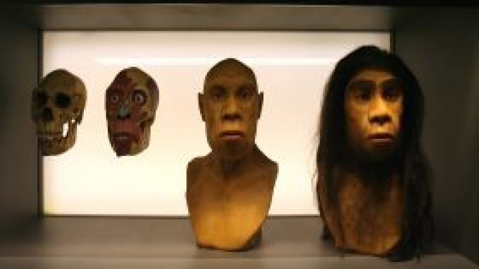 În Spania a fost descoperită cea mai veche amprentă umană