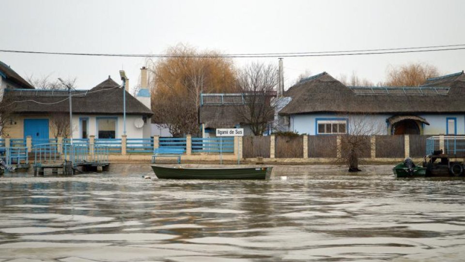 Festivalul Scrumbiei Albastre, la Sulina