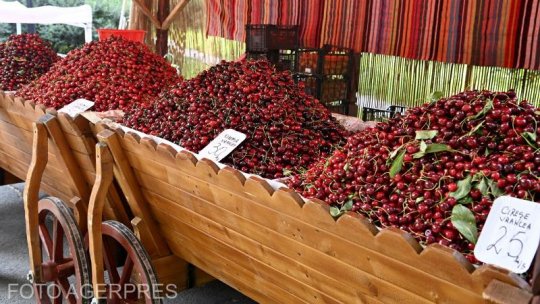 București: Ultima zi a Festivalului Cireșelor din Parcul Izvor