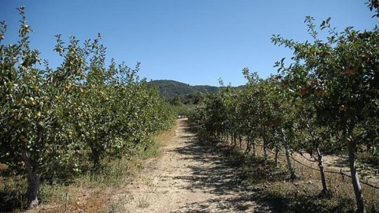 Sprijin de urgenţă pentru fermierii care au avut de suferit din cauza îngheţului târziu din primăvară
