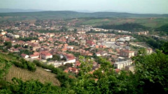 Opinii privind eliminarea funcţiilor de viceprimar în comunele cu puţini locuitori