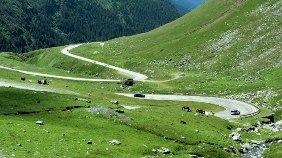 Mobilizare IGSU de Rusalii