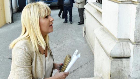 Elena Udrea poate fi eliberată condiționat din închisoare