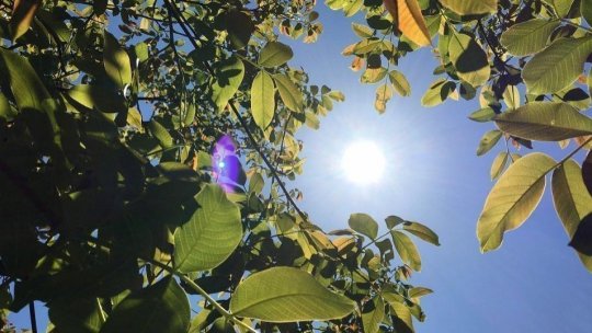 Caniculă şi disconfort termic în următoarele zile