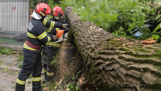 Vijelie care a afectat 11 localităţi și peste 1.200 de gospodării din judeţul Harghita