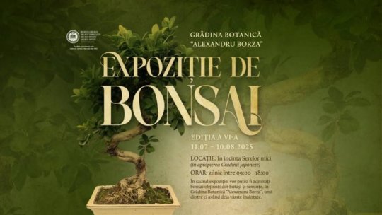 Peste 20 de specii de bonsai pot fi admirate la Grădina Botanică din Cluj