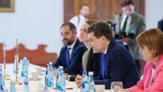 Președintele României, întrevedere la Salzburg cu cancelarul Austriei