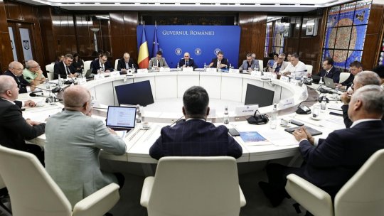 Reforma administrației publice: mai puțini polițiști locali, controale cu drone în construcții