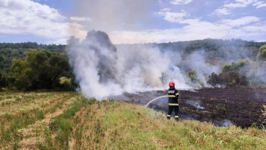 Număr record de incendii de vegetaţie în judeţul Gorj