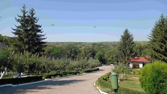 Primul cod roșu al acestei veri, valabil în trei județe din sud-vestul țării