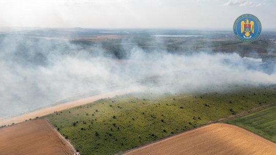 O mie de hectare de vegetație uscată au ars în zona localității Chilia, Tulcea