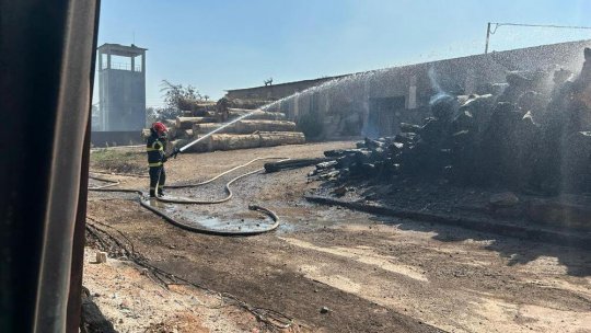 Galați: Incendiul din localitatea Târgu Bujor a fost stins