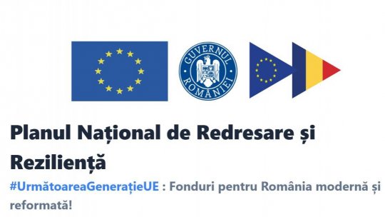 Achiziţia microbuzelor electrice, verificată de două ministere