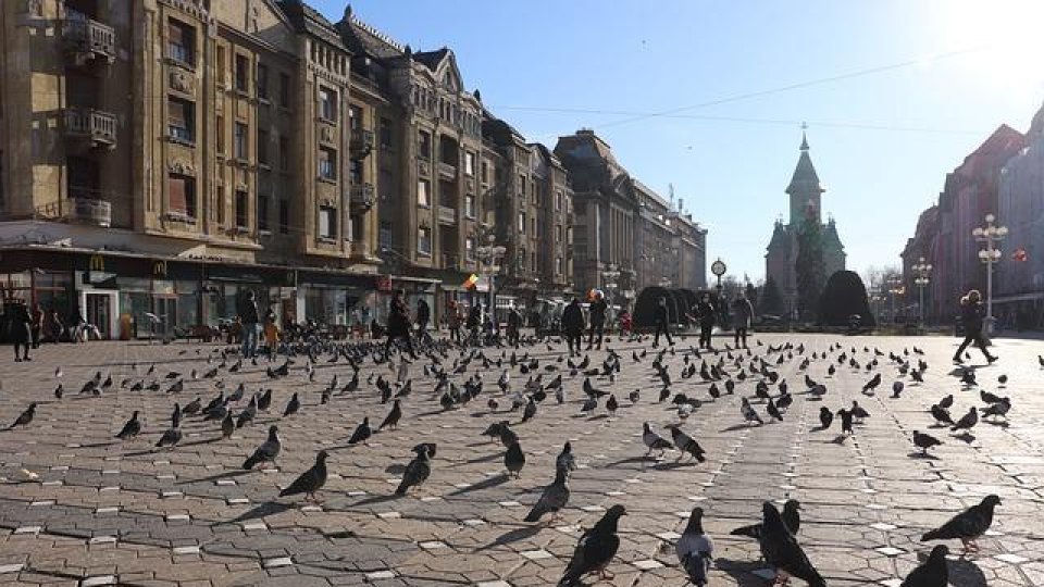 Instituirea unei zone speciale de siguranţă publică în zona Gării de Nord din Timișoara