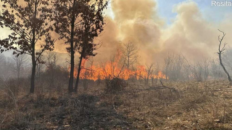 Pompierii au avut în ultimele zile peste 700 de intervenţii pentru stingerea incendiilor de vegetaţie uscată