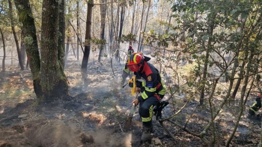 Peste 50 de pompieri români acţionează în Spania pentru a stinge incendiile de vegetaţie